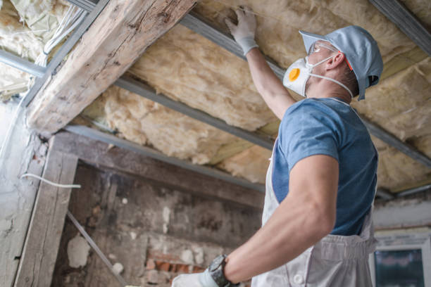 Best Insulation Materials and Products in Cortland, NY