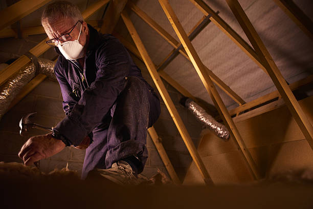 Best Residential Insulation in Cortland, NY